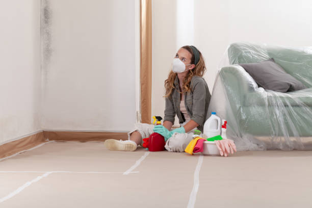 Reliable Mold Testing contractor in Spring Lake, MI by WQB Mold Removal